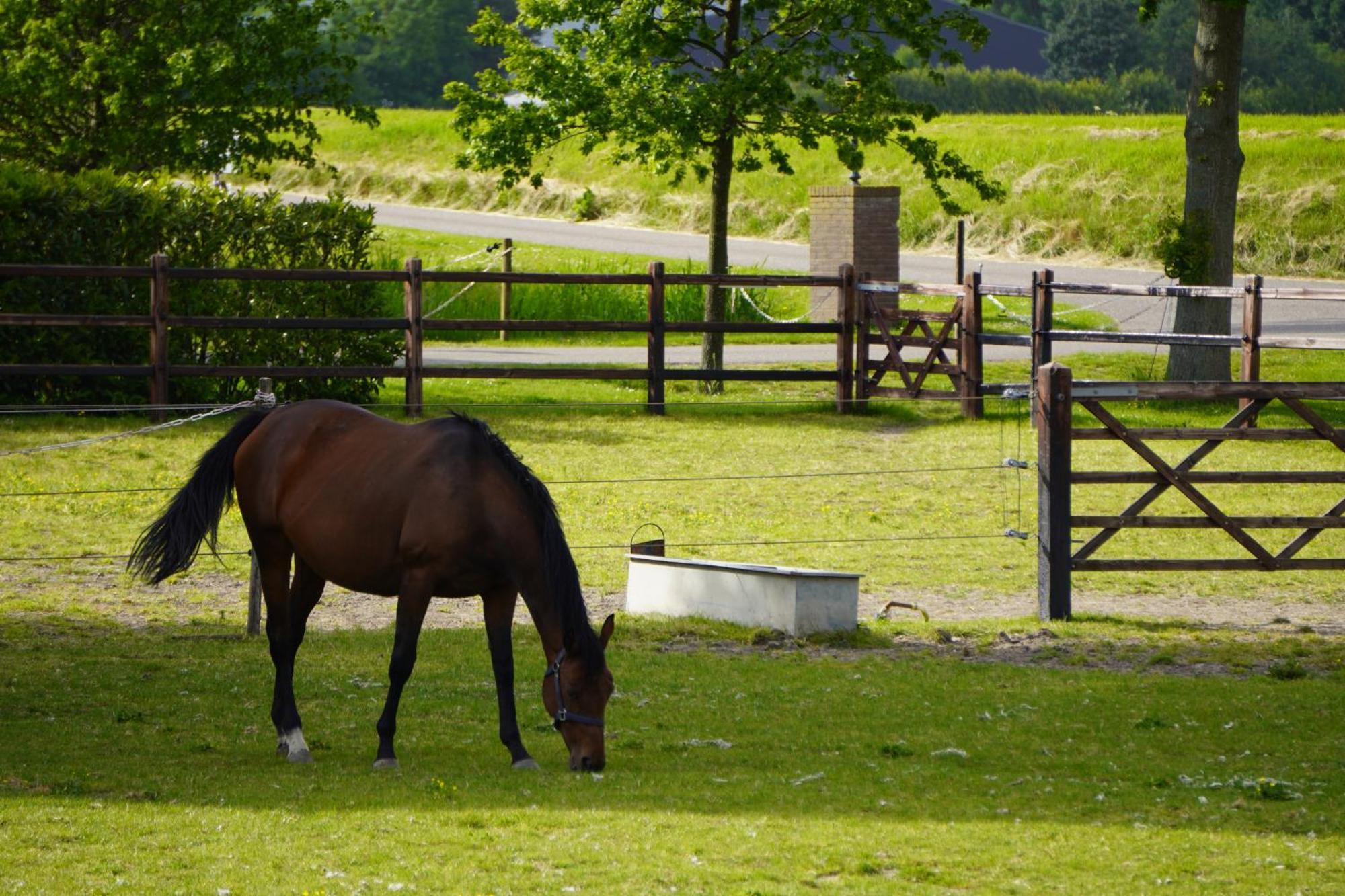 B&B Catharinenburg Golf & Wellness Melissant エクステリア 写真